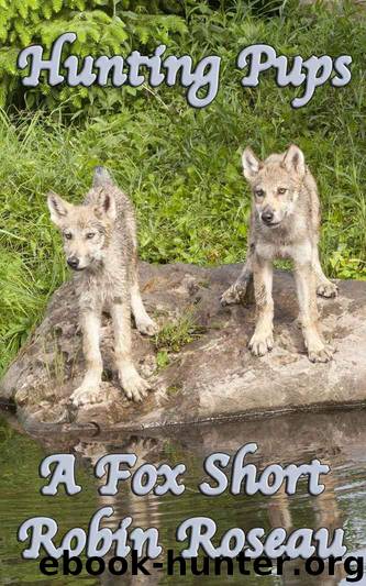 Hunting Pups (The Fox Shorts Book 1) by Roseau Robin