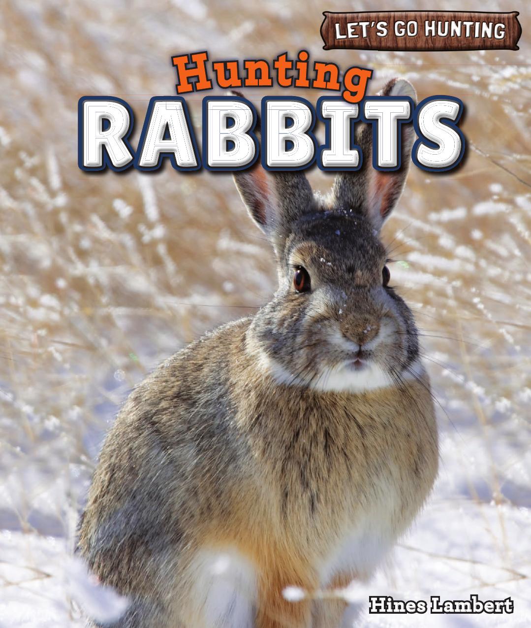 Hunting Rabbits by Hines Lambert