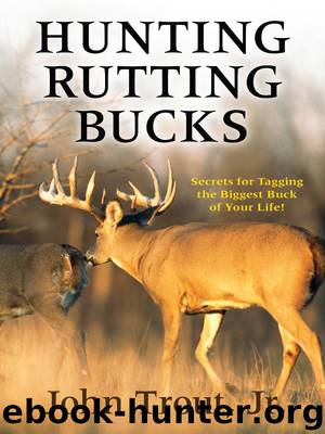 Hunting Rutting Bucks by John Trout Jr