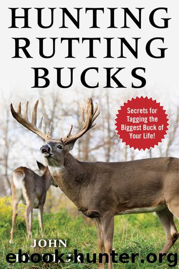Hunting Rutting Bucks by John Trout