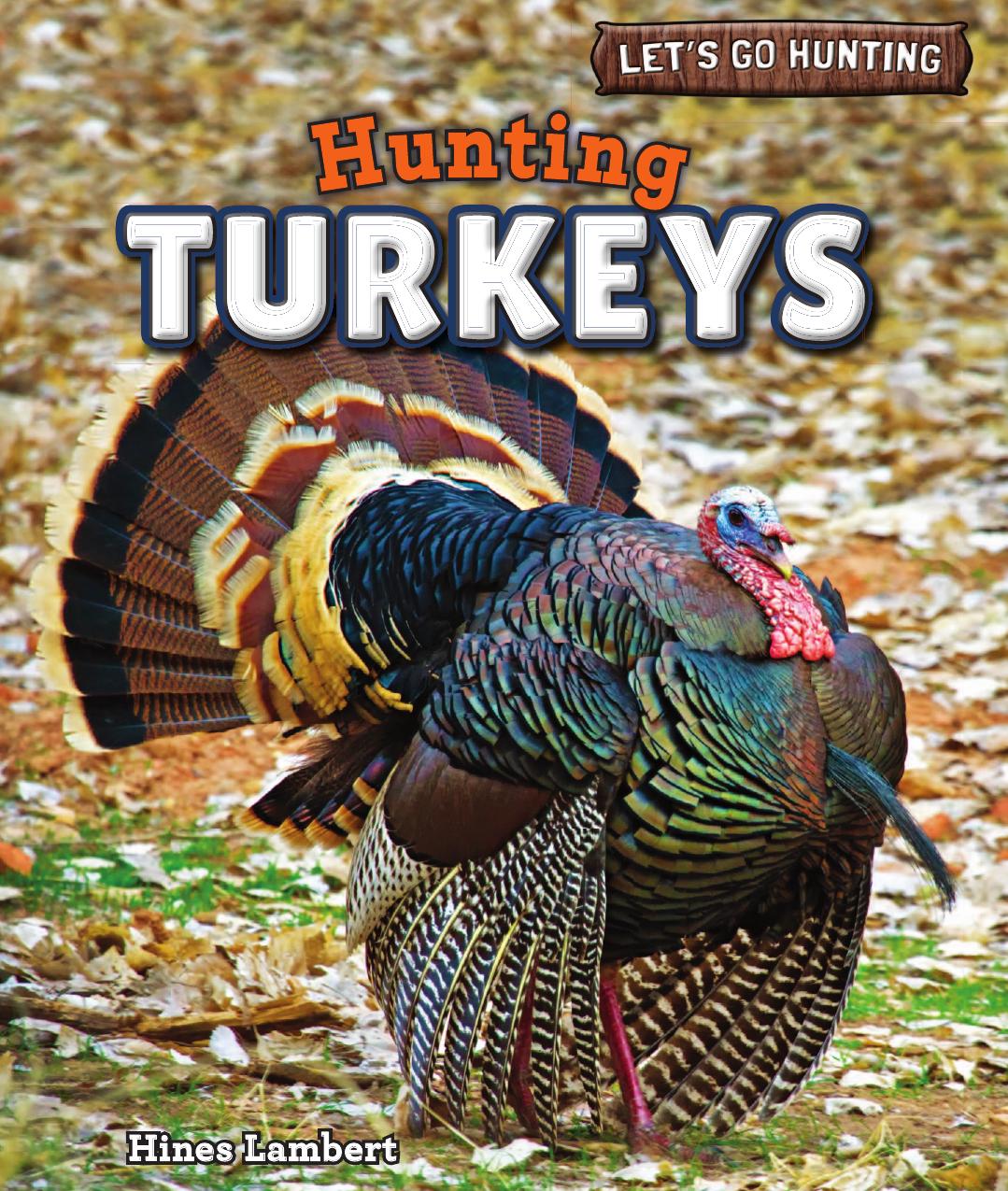 Hunting Turkeys by Hines Lambert
