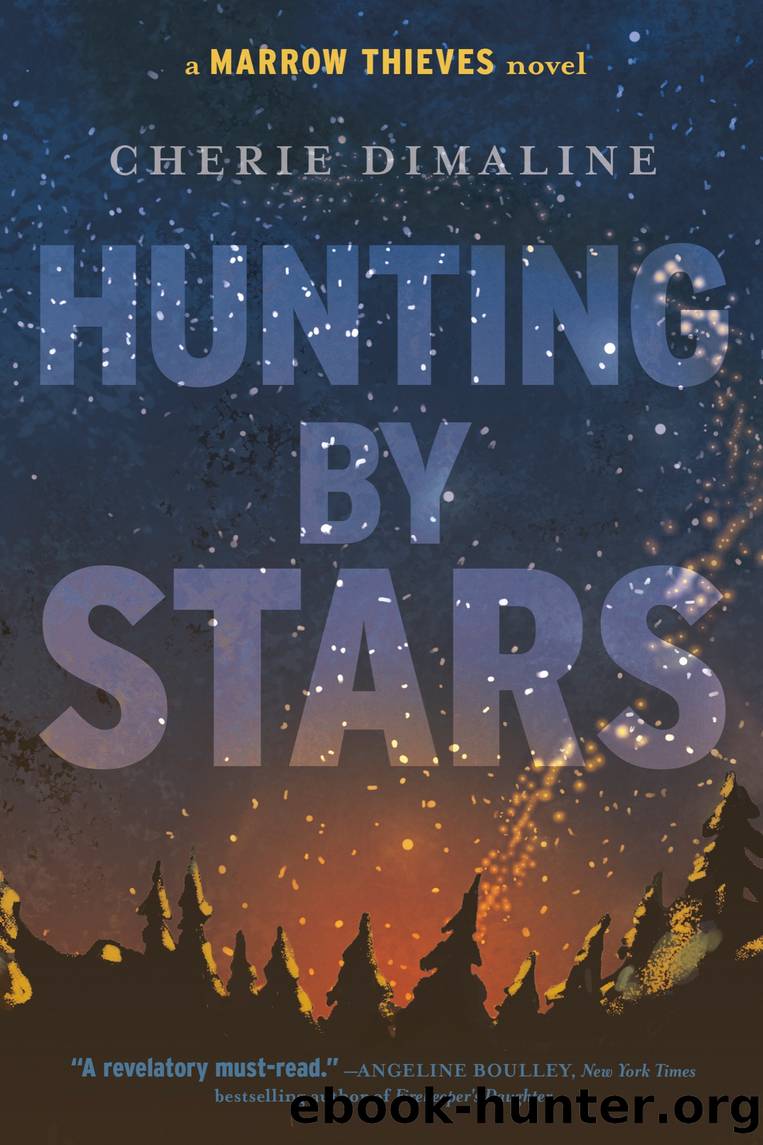 Hunting by Stars by Cherie Dimaline