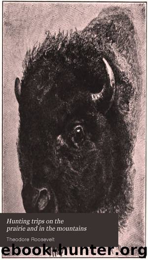 Hunting trips on the prairie and in the mountains by Theodore Roosevelt