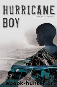 Hurricane Boy by Laura Dragon