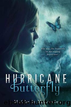 Hurricane Butterfly by Vermeulen Mechelle
