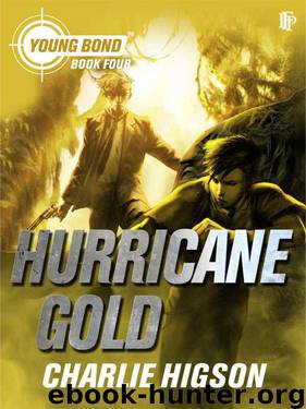 Hurricane Gold by Charlie Higson