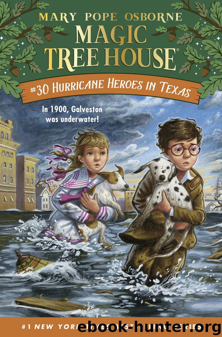 Hurricane Heroes in Texas by Mary Pope Osborne & AG Ford