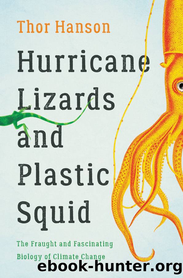 Hurricane Lizards and Plastic Squid by Thor Hanson
