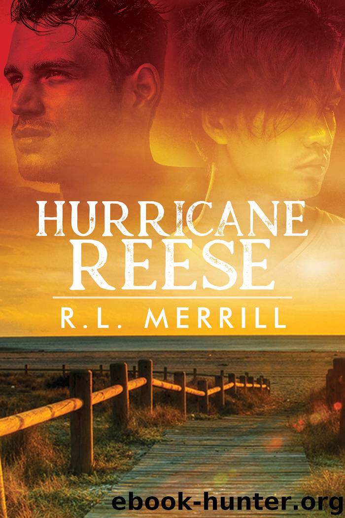 Hurricane Reese by R.L. Merrill