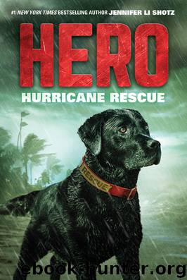 Hurricane Rescue by Jennifer Li Shotz
