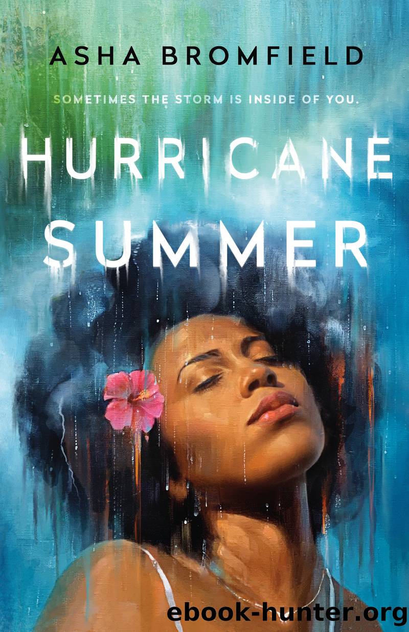 Hurricane Summer by Asha Bromfield