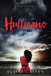 Hurricane by Elaine L Allen
