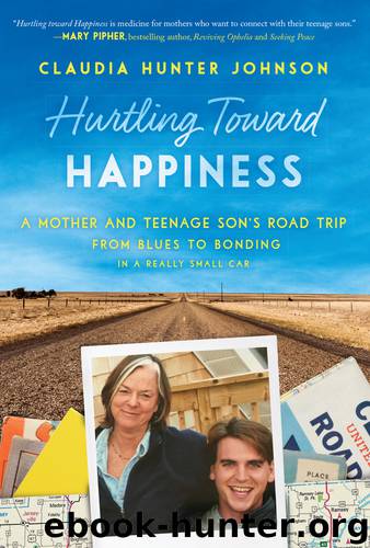 Hurtling Toward Happiness by Claudia Johnson