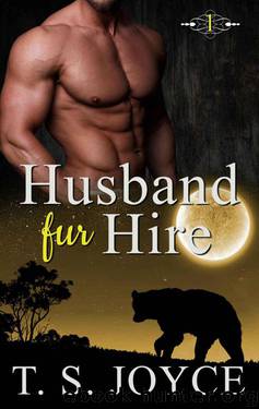 Husband Fur Hire (Bears Fur Hire Book 1) by Joyce T. S