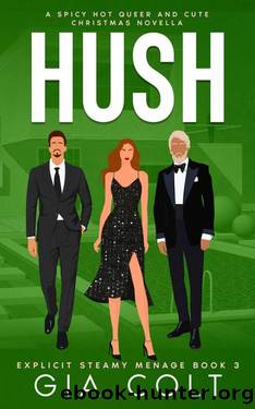 Hush : A Spicy Hot Queer and Cute Christmas Novella by Gia Colt