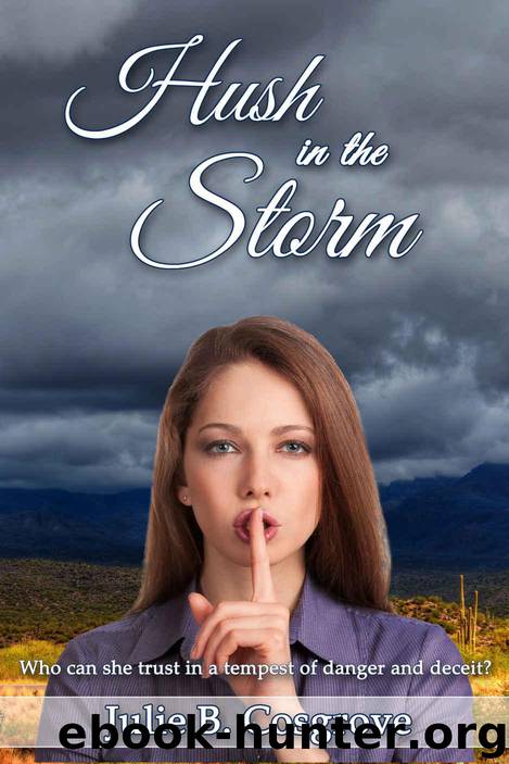 Hush in the Storm by Cosgrove Julie B