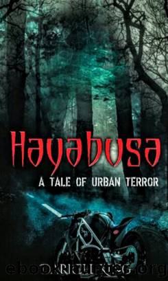 Hyabusa by Darrell King