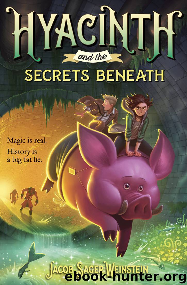Hyacinth and the Secrets Beneath by Jacob Sager Weinstein
