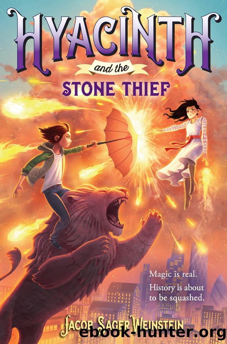 Hyacinth and the Stone Thief by Jacob Sager Weinstein