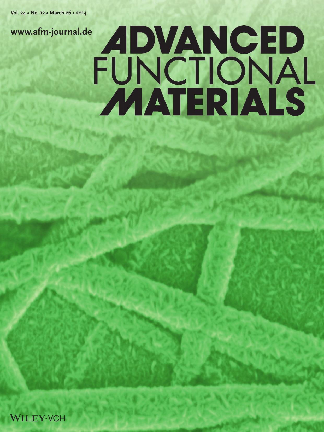 Hybrid Electronics: Highly Robust IndiumFree Transparent Conductive Electrodes Based on Composites of Silver Nanowires and Conductive Metal Oxides (Adv. Funct. Mater. 122014) by f-w-121