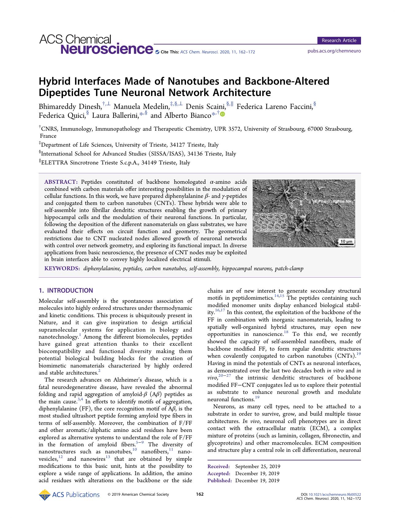 Hybrid Interfaces Made of Nanotubes and Backbone-Altered Dipeptides Tune Neuronal Network Architecture by unknow