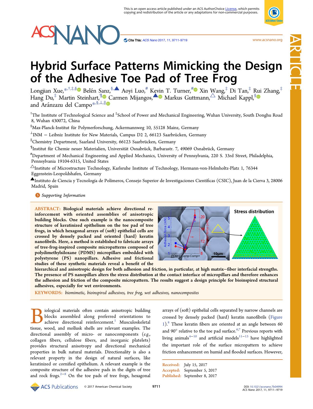 Hybrid Surface Patterns Mimicking the Design of the Adhesive Toe Pad of Tree Frog by unknow