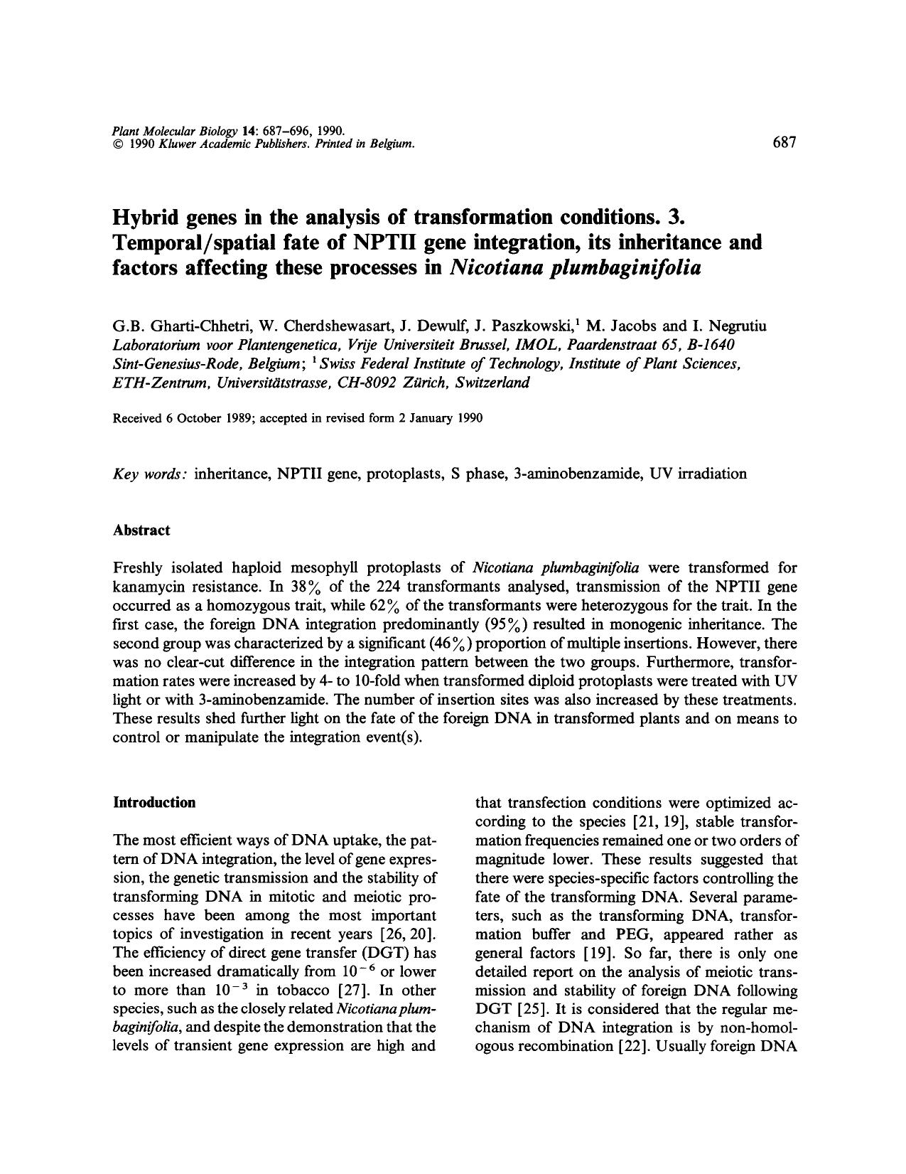 Hybrid genes in the analysis of transformation conditions. 3. Temporalspatial fate of NPTII gene integration, its inheritance and factors affecting these processes in <Emphasis Ty by Unknown
