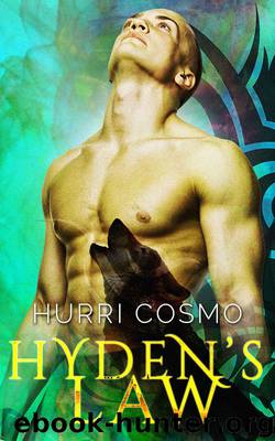 Hyden's Law by Hurri Cosmo