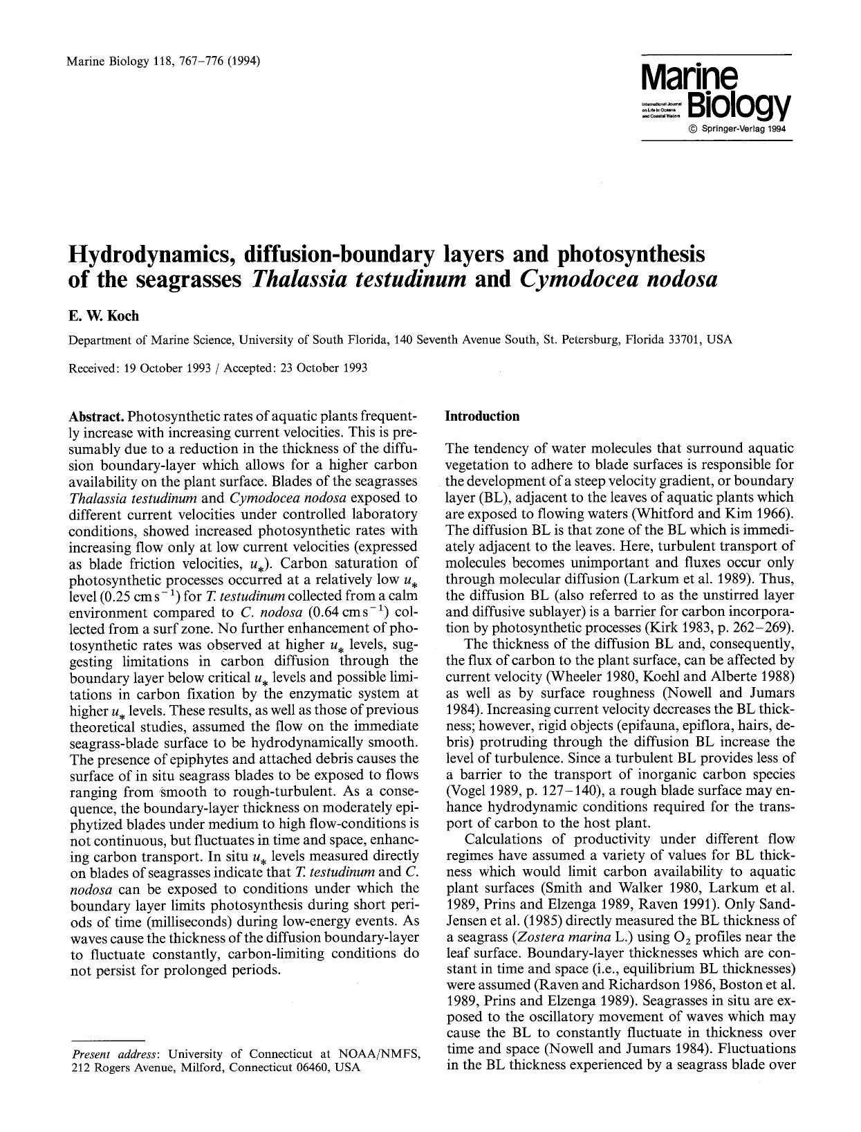 Hydrodynamics, diffusion-boundary layers and photosynthesis of the seagrasses <Emphasis Type="Italic">Thalassia testudinum<Emphasis> and <Emphasis Type="Italic">Cymodocea nodosa<Emphasis> by Unknown