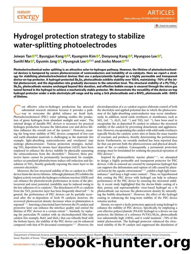 Hydrogel protection strategy to stabilize water-splitting photoelectrodes by unknow
