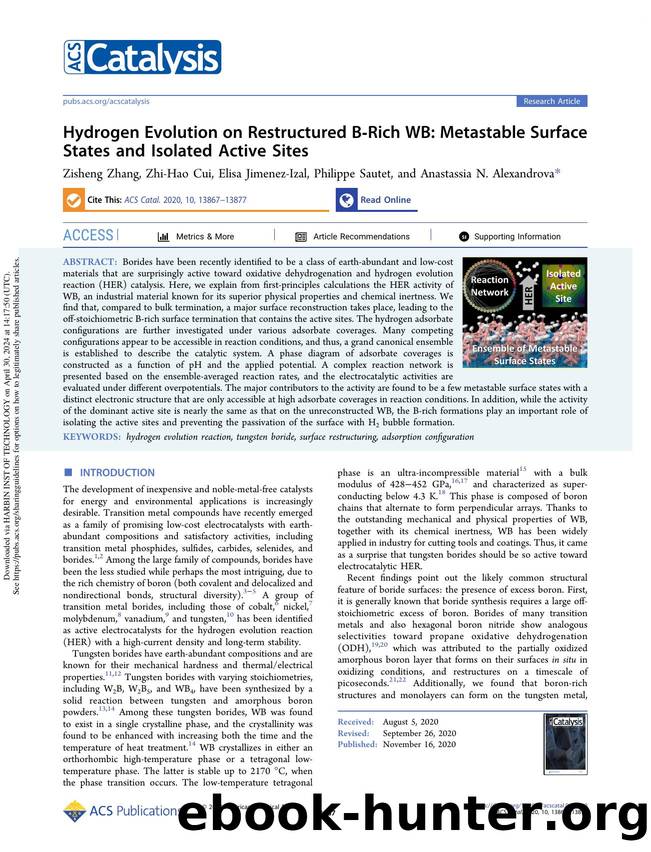 Hydrogen Evolution on Restructured B-Rich WB: Metastable Surface States and Isolated Active Sites by Zisheng Zhang Zhi-Hao Cui Elisa Jimenez-Izal Philippe Sautet & Anastassia N. Alexandrova
