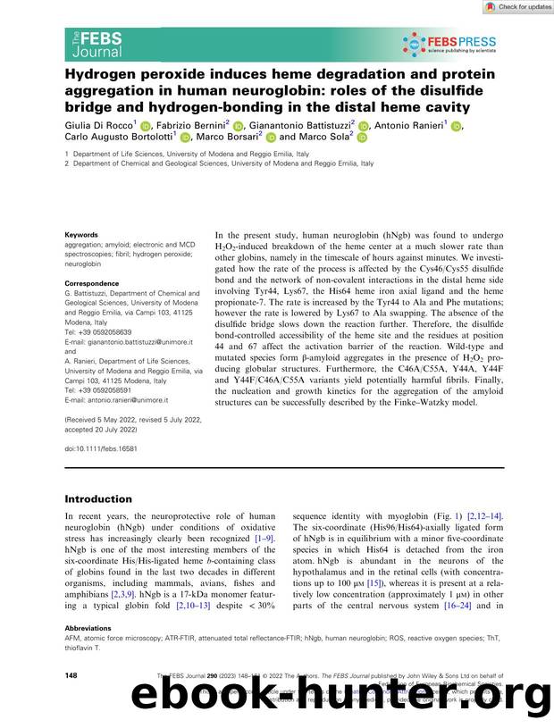 Hydrogen peroxide induces heme degradation and protein aggregation in human neuroglobin: roles of the disulfide bridge and hydrogenâbonding in the distal heme cavity by Unknown