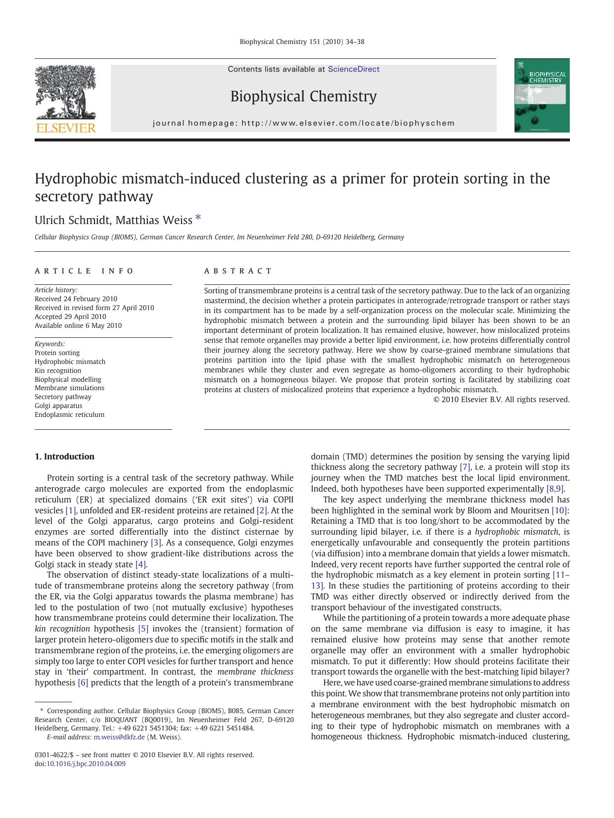 Hydrophobic mismatch-induced clustering as a primer for protein sorting in the secretory pathway by Ulrich Schmidt & Matthias Weiss