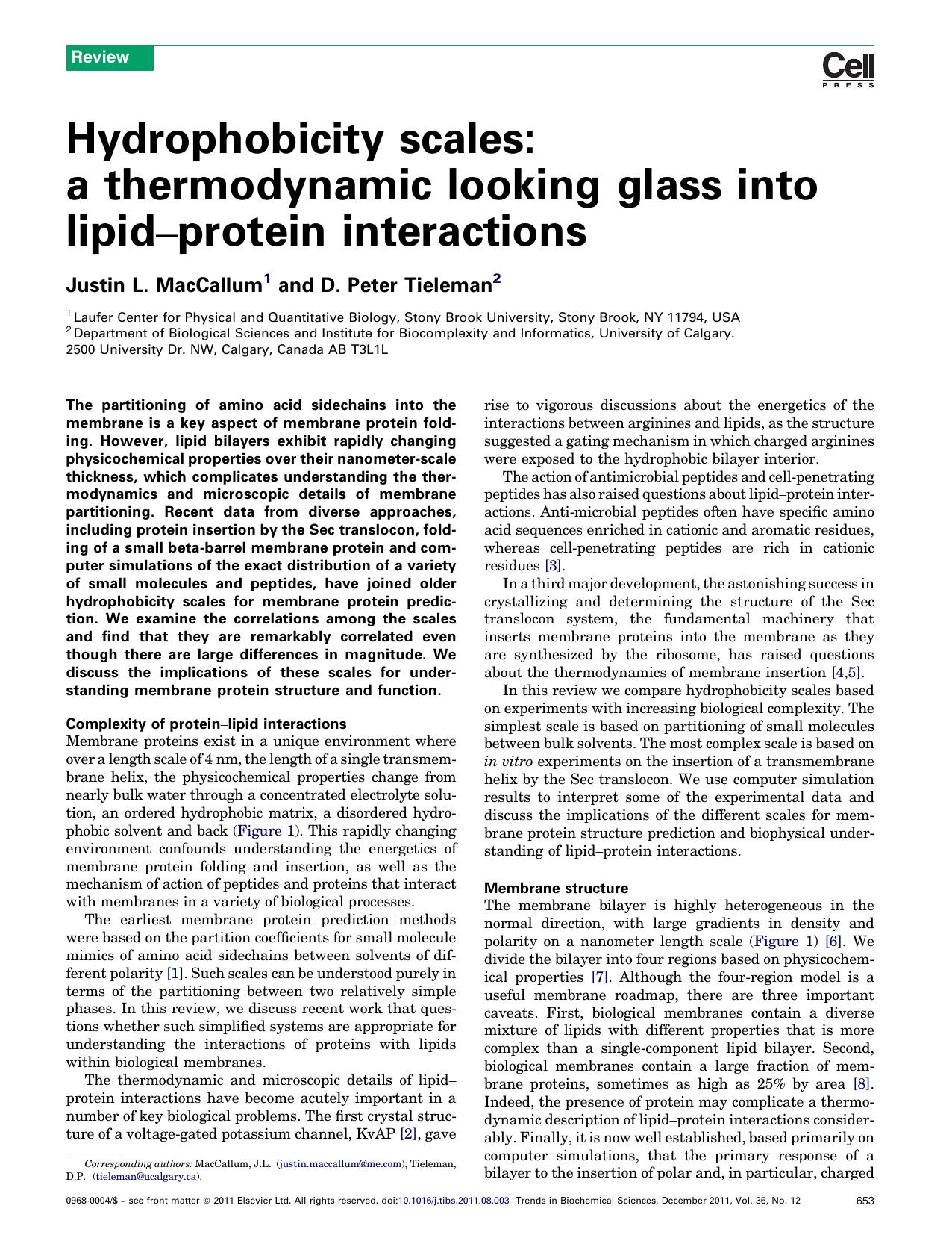 Hydrophobicity scales: a thermodynamic looking glass into lipidâprotein interactions by Justin L. MacCallum