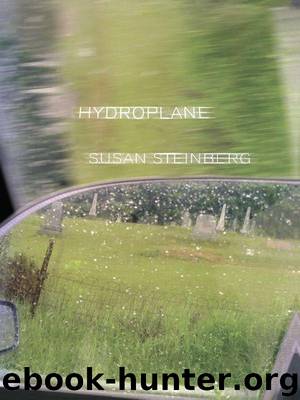 Hydroplane: Fictions by Steinberg Susan