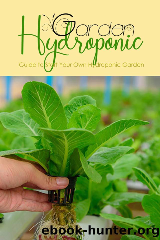Hydroponic Garden: Guide to Start Your Own Hydroponic Garden by Thourson Scott
