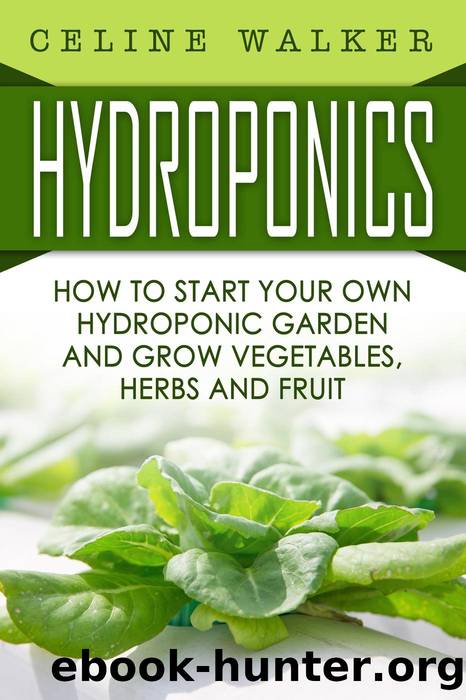Hydroponics How to Start Your Own Hydroponic Garden and Grow Vegetables, Herbs and Fruit by Celine Walker