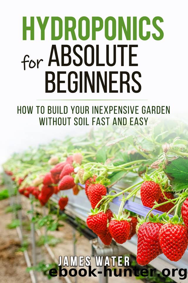 Hydroponics for Absolute Beginners: How Build your Inexpensive Garden without Soil Fast and Easy by Water James