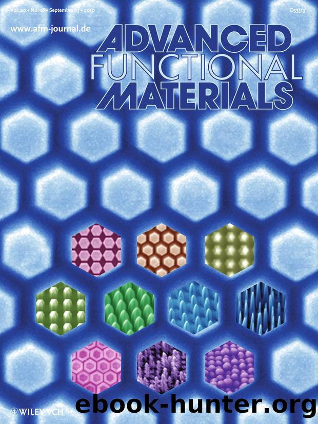 Hydrothermal Growth: PolymerTemplated Hydrothermal Growth of Vertically Aligned SingleCrystal ZnO Nanorods and Morphological Transformations Using Structural Polarity (Adv. Funct. Mater. 182010) by otm