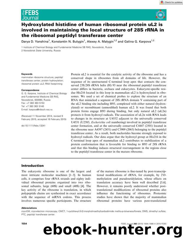 Hydroxylated histidine of human ribosomal protein uL2 is involved in maintaining the local structure of 28S rRNA in the ribosomal peptidyl transferase center by Unknown