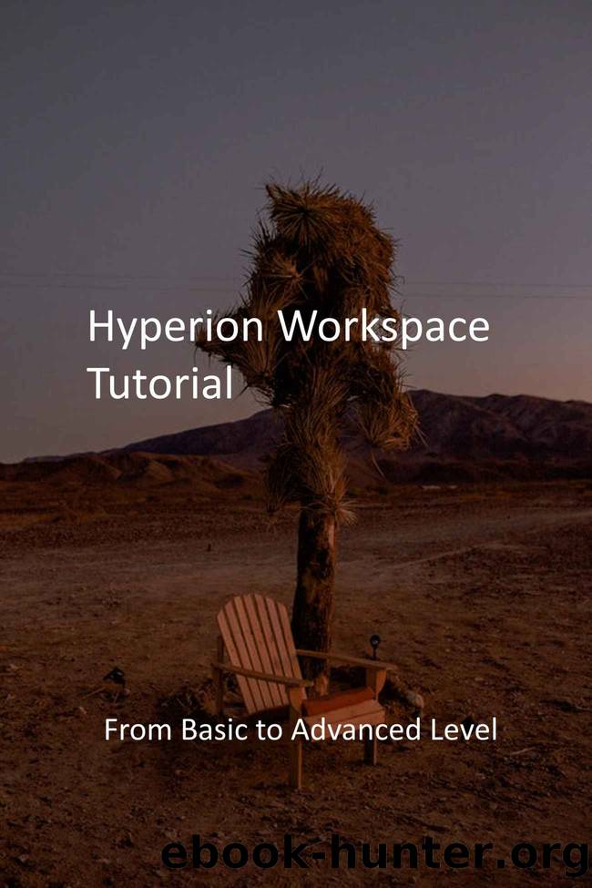 Hyperion Workspace Tutorial: From Basic to Advanced Level by Drakas Evlbyne Publications
