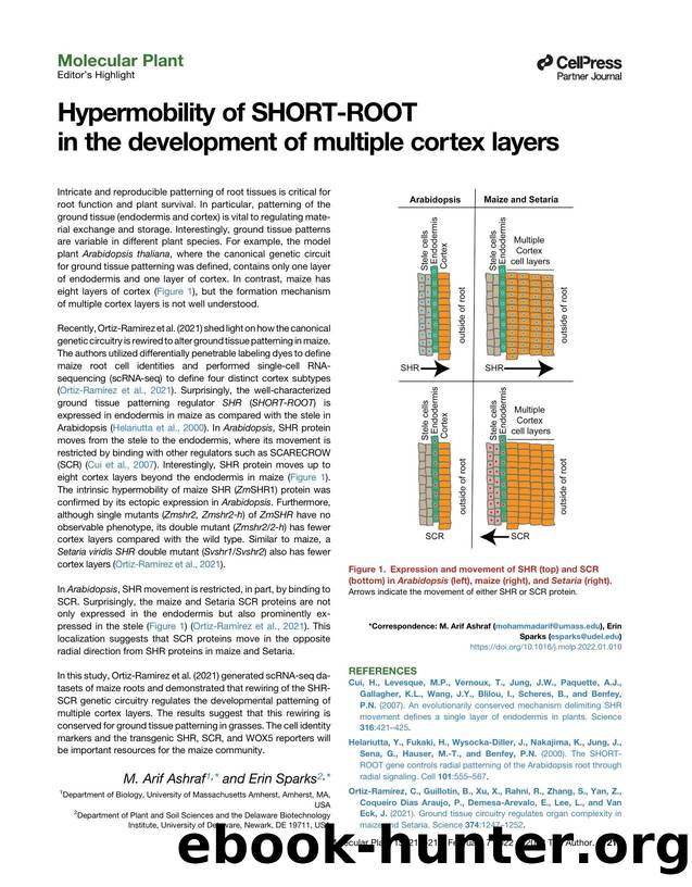 Hypermobility of SHORT-ROOT in&nbsp;the&nbsp;development of multiple cortex layers by M. Arif Ashraf & Erin Sparks