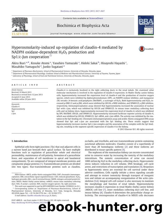 Hyperosmolarity-induced up-regulation of claudin-4 mediated by NADPH oxidase-dependent H2O2 production and Sp1c-Jun cooperation by unknow