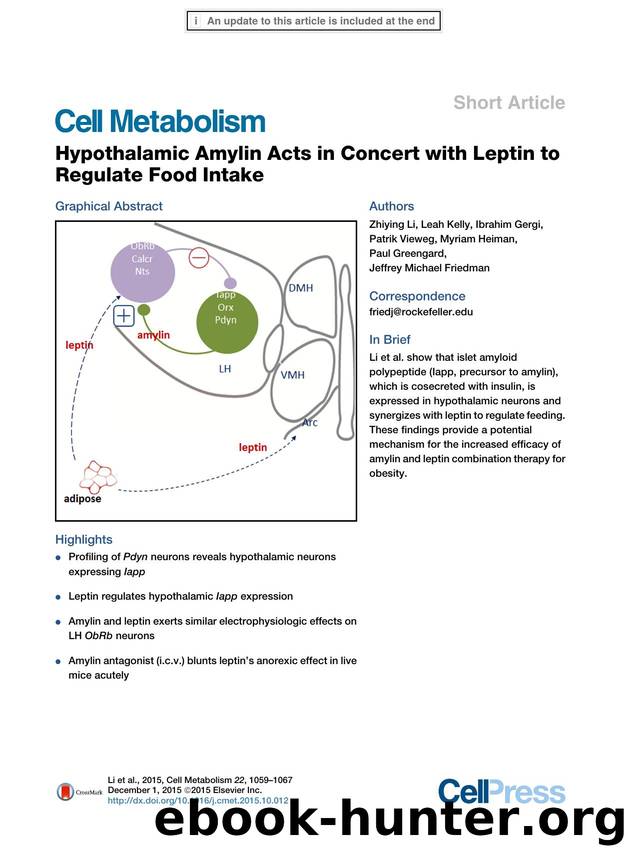 Hypothalamic Amylin Acts in Concert with Leptin to Regulate Food Intake by unknow