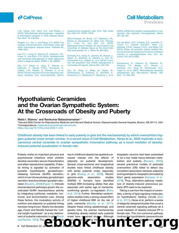 Hypothalamic Ceramides and the Ovarian Sympathetic System: At the Crossroads of Obesity and Puberty by Maria I. Stamou & Ravikumar Balasubramanian