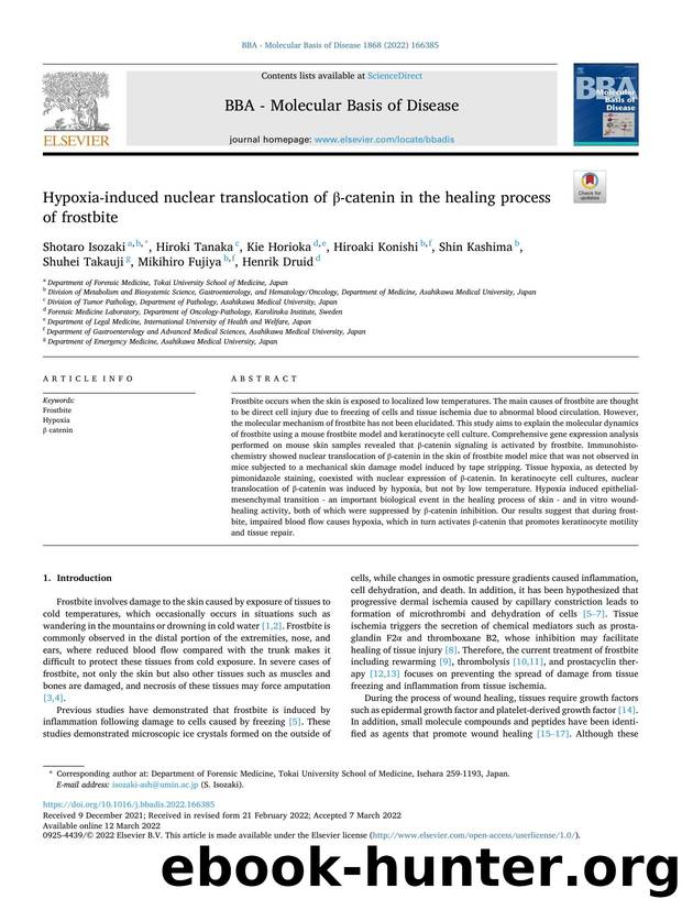 Hypoxia-induced nuclear translocation of Î²-catenin in the healing process of frostbite by unknow