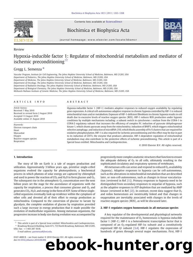 Hypoxia-inducible factor 1: Regulator of mitochondrial metabolism and mediator of ischemic preconditioning by Gregg L. Semenza
