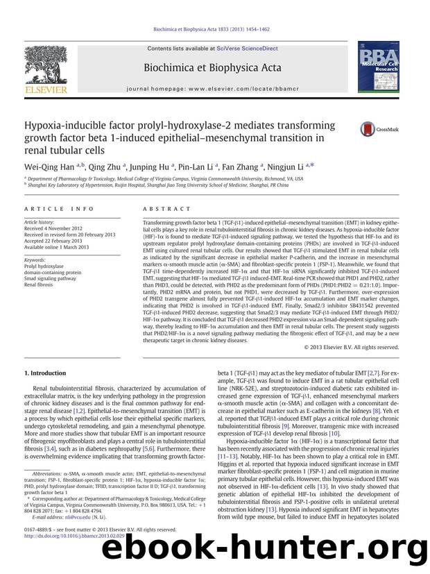 Hypoxia-inducible factor prolyl-hydroxylase-2 mediates transforming growth factor beta 1-induced epithelialâmesenchymal transition in renal tubular cells by Wei-Qing Han & Qing Zhu & Junping Hu & Pin-Lan Li & Fan Zhang & Ningjun Li