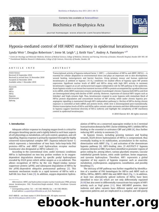 Hypoxia-mediated control of HIFARNT machinery in epidermal keratinocytes by Lynda Weir