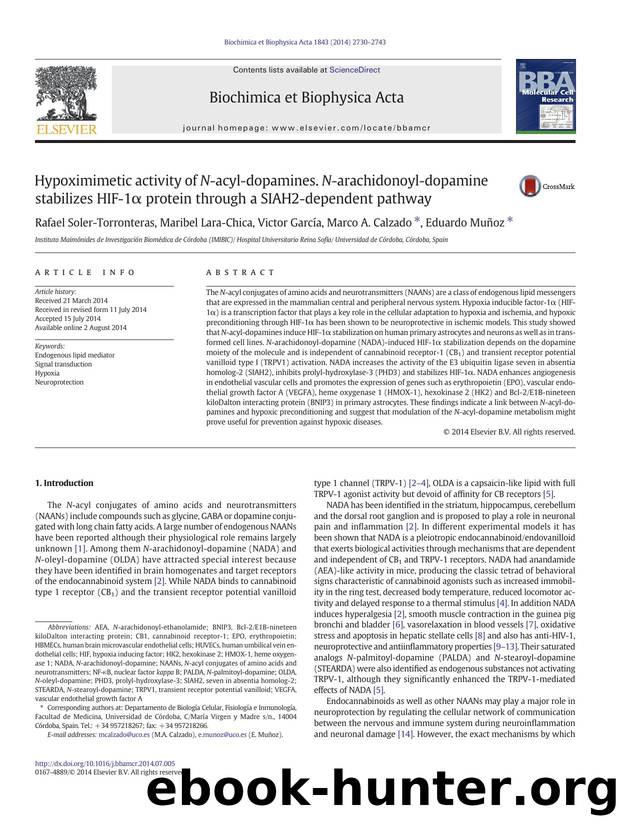 Hypoximimetic activity of N-acyl-dopamines. N-arachidonoyl-dopamine stabilizes HIF-1Î± protein through a SIAH2-dependent pathway by Rafael Soler-Torronteras & Maribel Lara-Chica & Victor García & Marco A. Calzado & Eduardo Muñoz